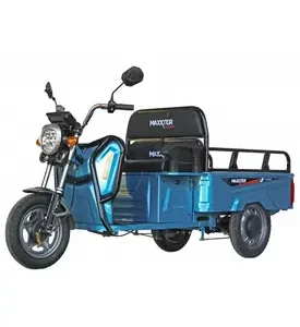 Електротрицикл вантажний Maxxter CARRIER (Blue) 1000 Вт