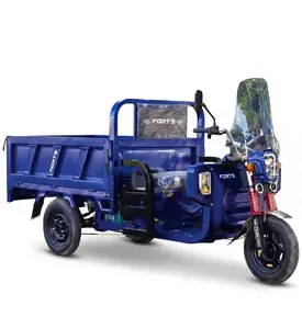 Електротрицикл вантажний FORTE GP-1200-C (синій)