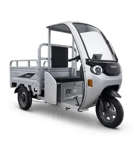 Електротрицикл вантажний FORTE DW-1500-1-5 (срібний)