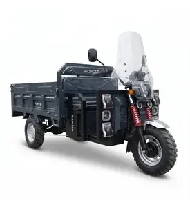 Електротрицикл вантажний FORTE GP-1500-CH (сірий) гібрид