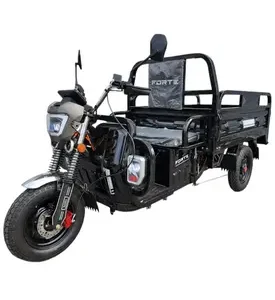 Електротрицикл вантажний FORTE JH-1200 (Чорний)