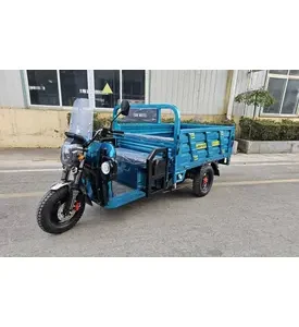 Вантажний електротрицикл SOKMOTO CARGO 2500 Вт (Гібрид)