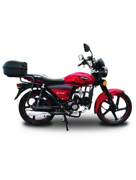 Мотоцикл HORNET ALPHA (sport version)
