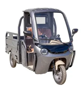 Електротрицикл вантажний FORTE DW-1200-1-3 (сірий)