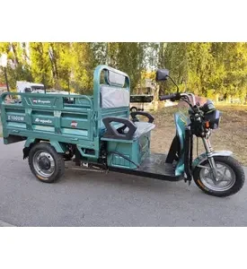 Електричний вантажний трицикл ARMADA E1000W