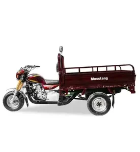 Вантажний мотоцикл Musstang MT200-4V