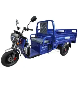 Електротрицикл вантажний FORTE JH-1200 (синій)