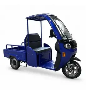 Електротрицикл вантажний FORTE DW-1200-1-1 (синій)