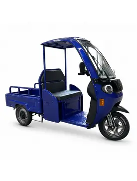 Електротрицикл вантажний FORTE DW-1200-1-1 (синій)