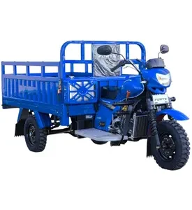 Вантажний мотоцикл FORTE ATV250ZH-T (синій)
