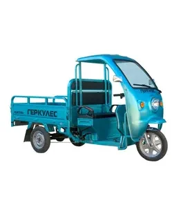 Трицикл електричний вантажний ГЕРКУЛЕС WJ160 Electro C