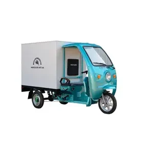 Трицикл електричний вантажний ГЕРКУЛЕС WJ160 Electro CB