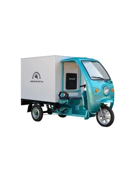 Трицикл електричний вантажний ГЕРКУЛЕС WJ160 Electro CB