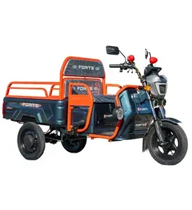 Електротрицикл вантажний FORTE GP-1000-C (синій)