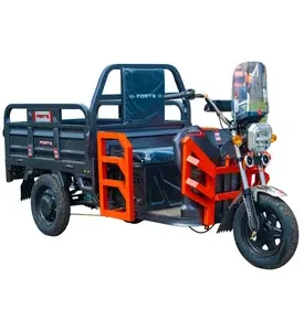 Електротрицикл вантажний FORTE GP-1100-A (сірий)