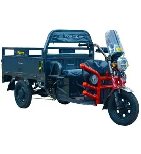 Електротрицикл вантажний FORTE GP-1150-A (сірий)