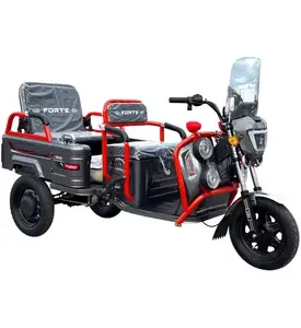 Електротрицикл вантажний FORTE GP-1000-P (сірий)