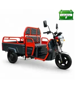 Електротрицикл вантажний FORTE GP-1000-C LFP (чорний)