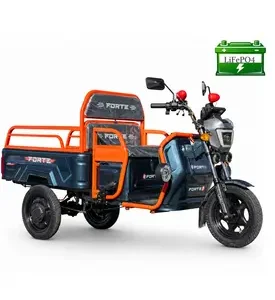 Електротрицикл вантажний FORTE GP-1000-C LFP (синій)