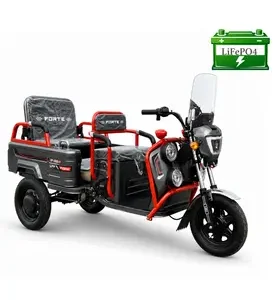 Електротрицикл вантажний FORTE GP-1000-P LFP (чорний)