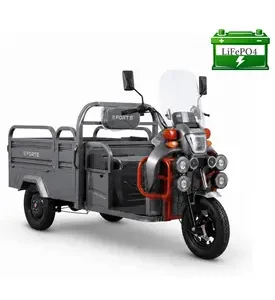 Електротрицикл вантажний FORTE GP-1000-D LFP (сірий)