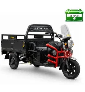 Електротрицикл вантажний FORTE GP-1150-A LFP (сірий)