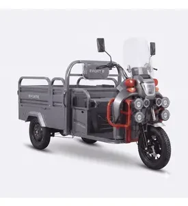 Електротрицикл вантажний FORTE GP-1000-D (сірий)
