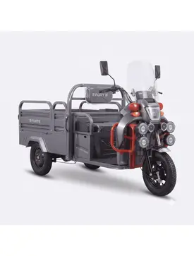 Електротрицикл вантажний FORTE GP-1000-D (сірий)