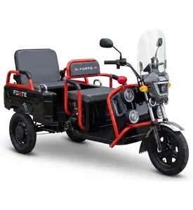 Електротрицикл вантажний FORTE GP-1000-P (чорний)