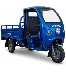 Трицикл електричний вантажний Геркулес T3 Electro C 72/100 (LiFePO4)