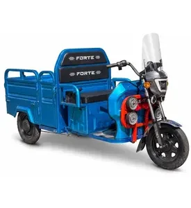 Електротрицикл вантажний FORTE GP-1000-D (блакитний)