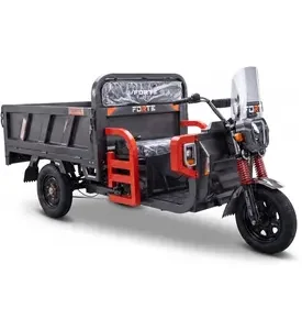 Електротрицикл вантажний FORTE GP-1200-C (сірий)