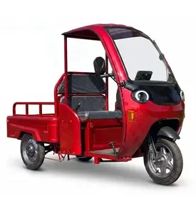Електротрицикл вантажний FORTE DW-1200-1-1 (червоний)