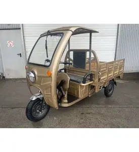 Електротрицикл Renegade ATE-1000W