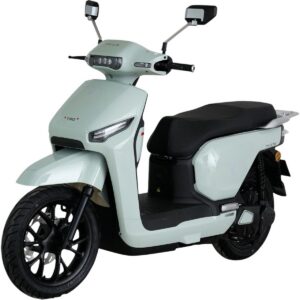 Електроскутер Tailg T-80 GR-709 Mint