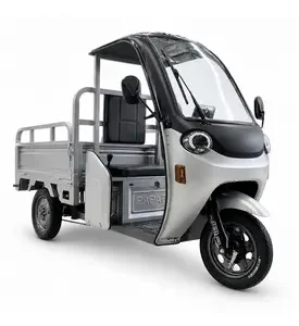 Електротрицикл вантажний FORTE DW-1200-1-3 (срібний)
