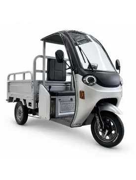Електротрицикл вантажний FORTE DW-1200-1-3 (срібний)
