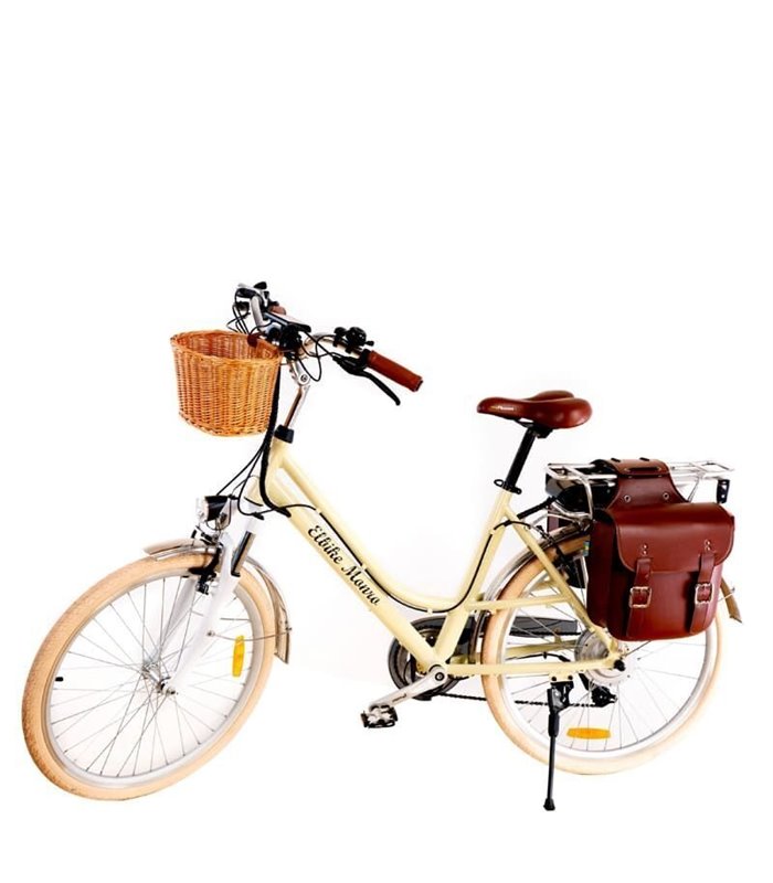 Електровелосипед Elbike Monro Vip