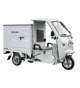 Трицикл електричний вантажний Геркулес WJ160 Delivery