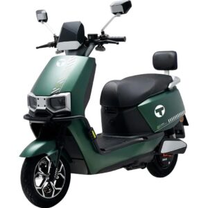 Електроскутер Tairon TF-719332 Green