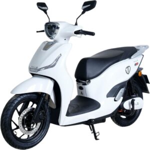 Електроскутер Tailg T-61 GR-106 White