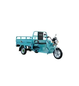 Трицикл електричний вантажний Геркулес WJ160 Electro S