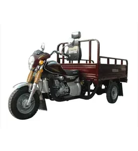 Вантажний мотоцикл Musstang MT250-4V