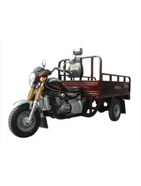 Вантажний мотоцикл Musstang MT250-4V